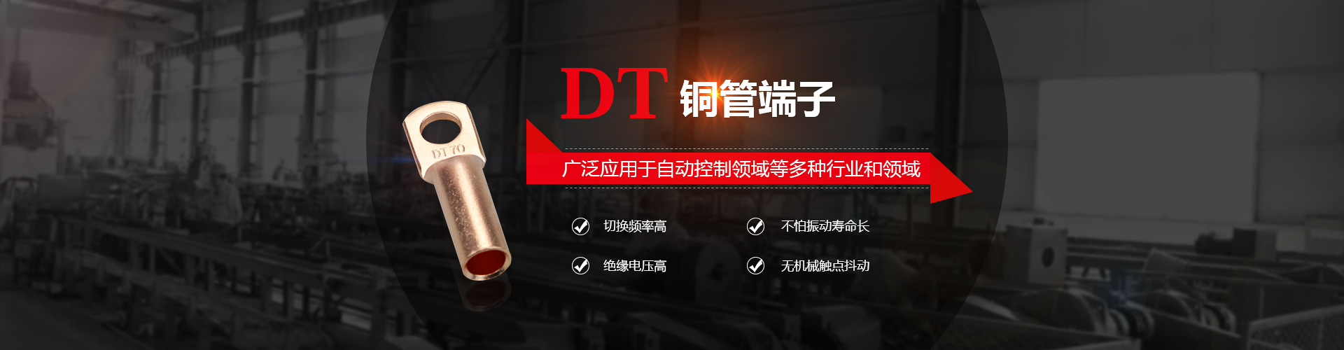 泰兴龙溢端子有限公司